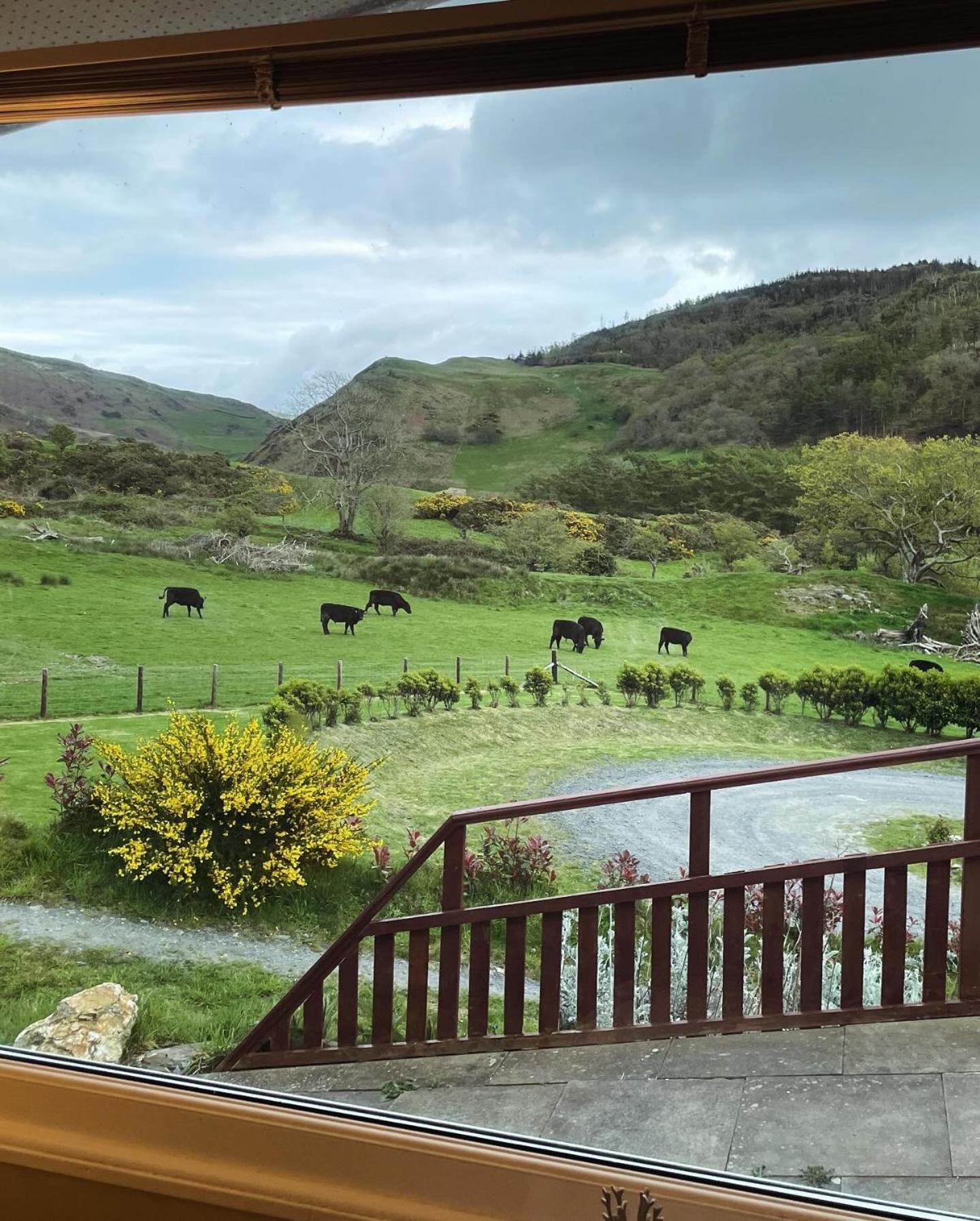 Cosy Private Tywyn